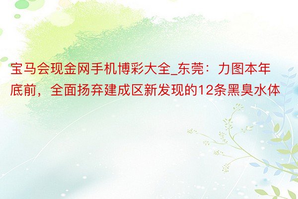 宝马会现金网手机博彩大全_东莞：力图本年底前，全面扬弃建成区新发现的12条黑臭水体