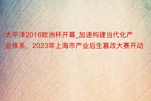 太平洋2016欧洲杯开幕_加速构建当代化产业体系，2023年上海市产业后生篡改大赛开动