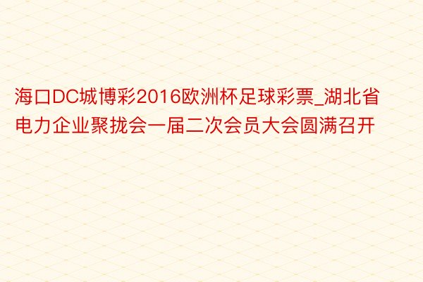 海口DC城博彩2016欧洲杯足球彩票_湖北省电力企业聚拢会一届二次会员大会圆满召开