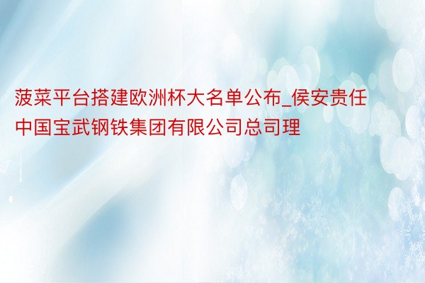 菠菜平台搭建欧洲杯大名单公布_侯安贵任中国宝武钢铁集团有限公司总司理